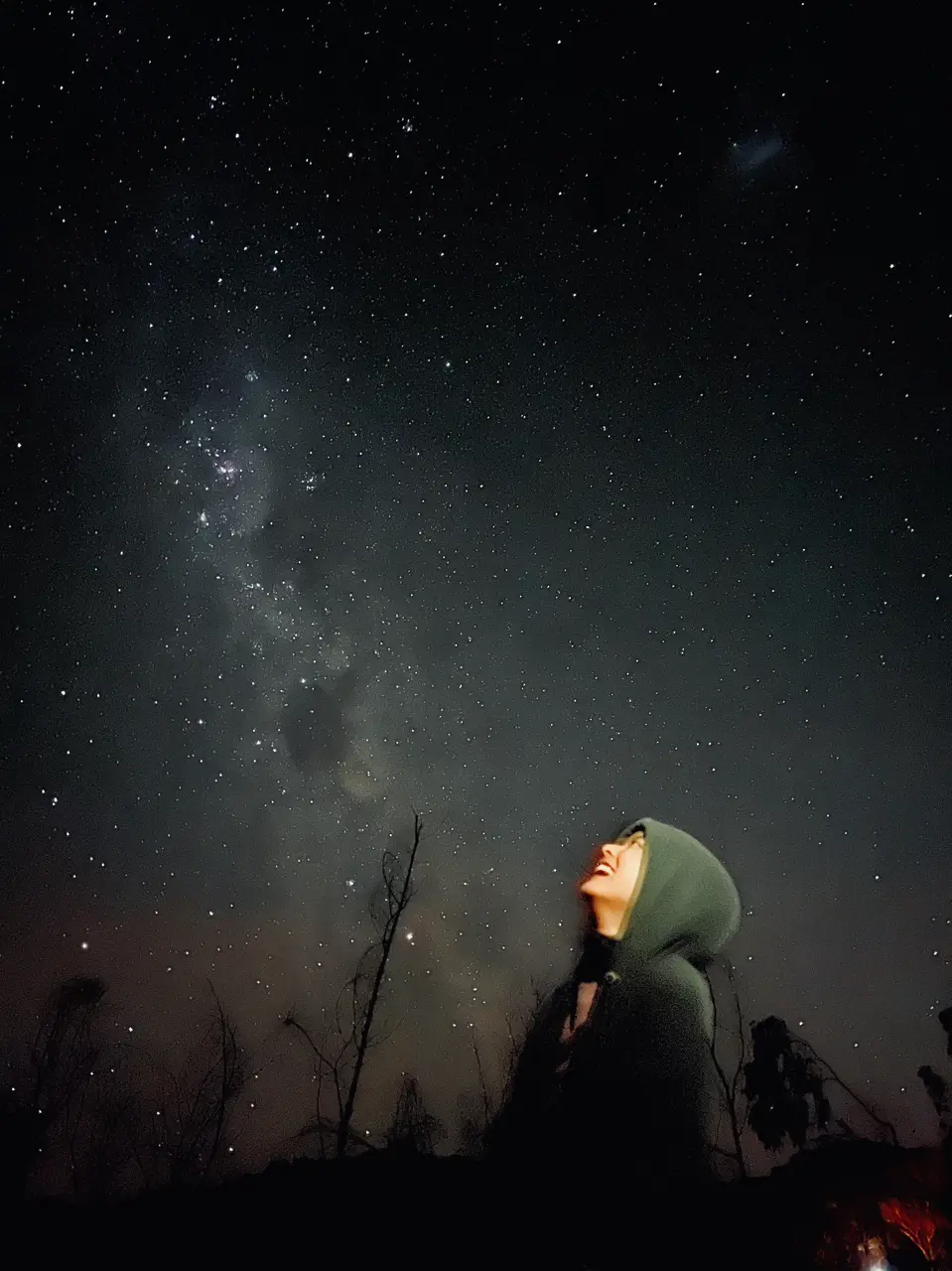 南半球的星星
